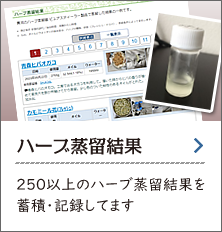 ハーブ蒸留結果 250以上のハーブ蒸留結果を掲載中！