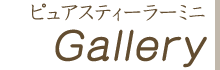 ピュアスティーラーミニギャラリー